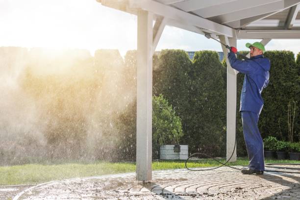 Best Soft Washing  in Helena, MT