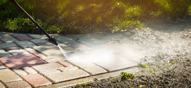 Best Roof Washing  in Helena, MT